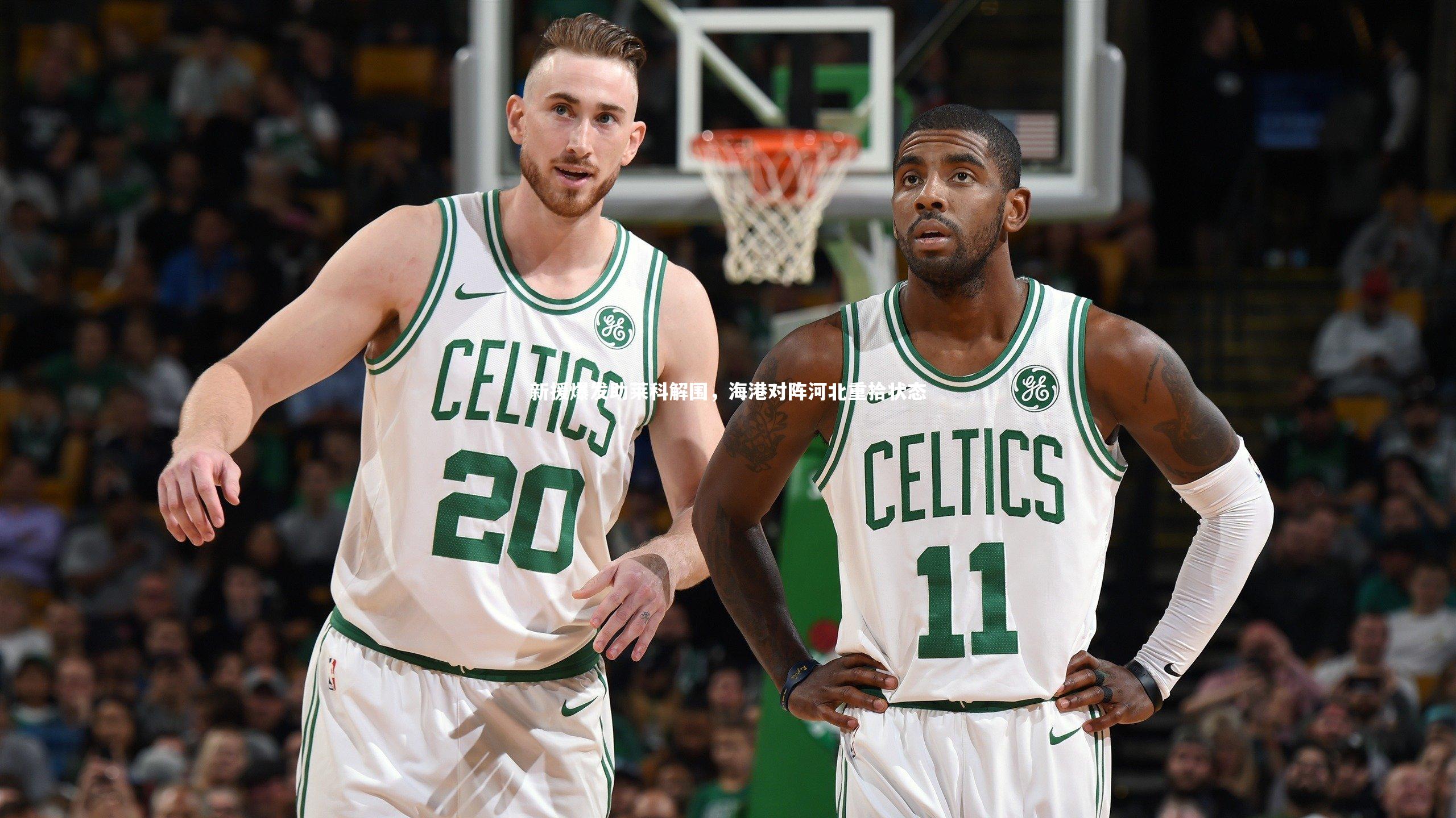 友博体育官网入口|新援爆发助莱科解围，海港对阵河北重拾状态